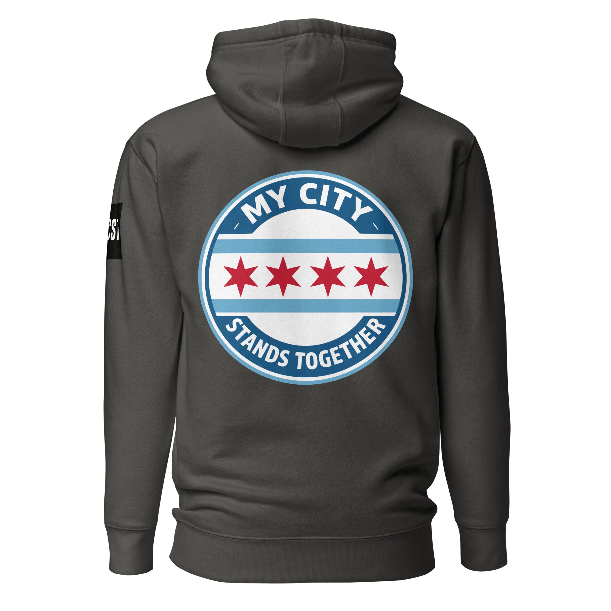 Shield Color Unisex Hoodie