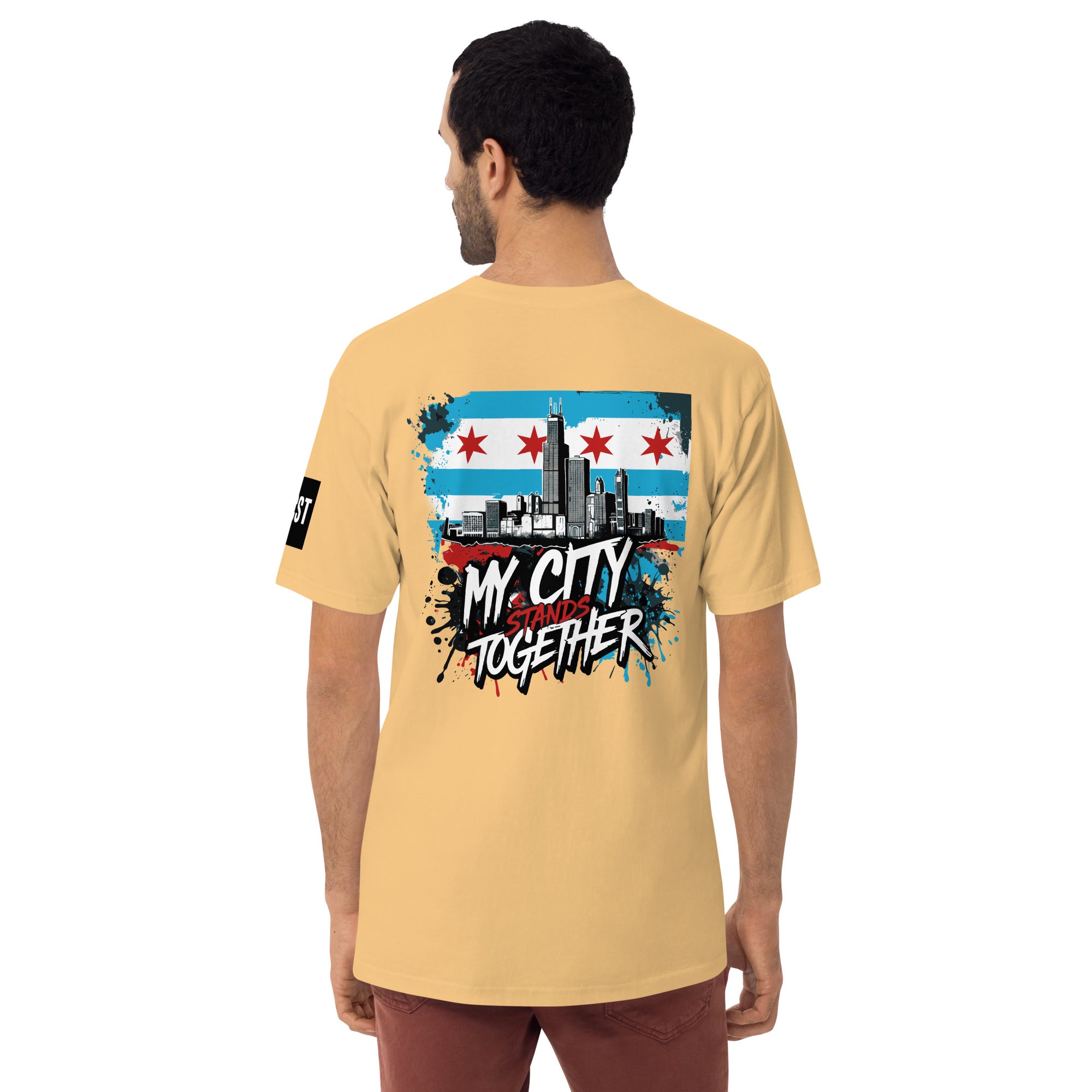 Premium Heavyweight Tee - With Sleeve